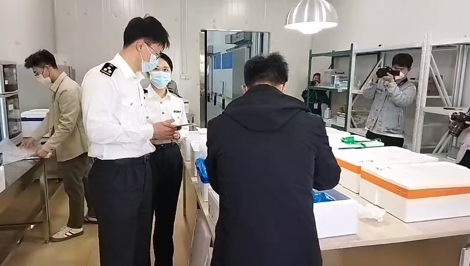 报关服务